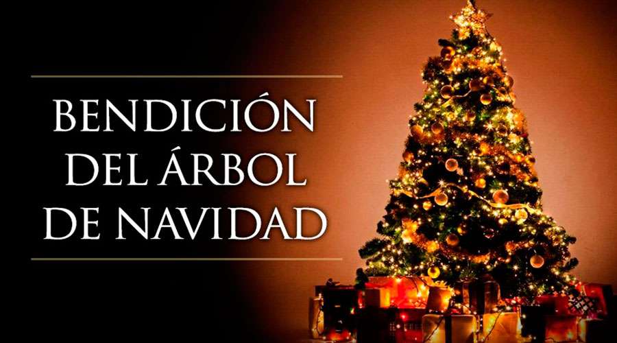 bendicion del arbol de navidad