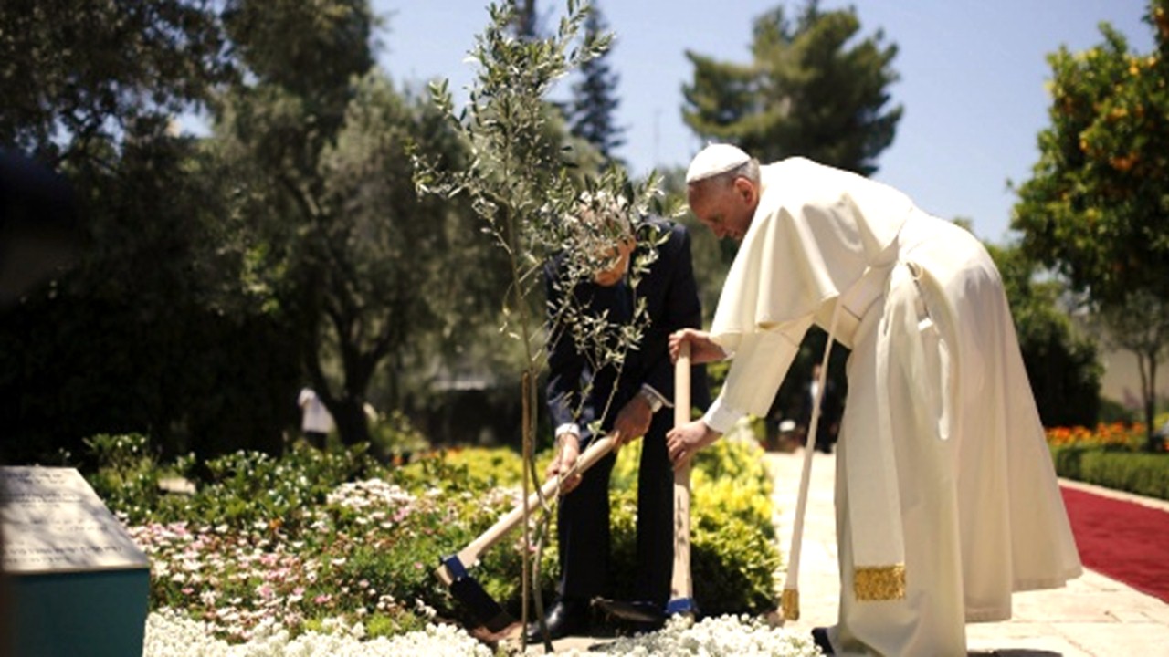 En Villavicencio nacerá el "Bosque de Reconciliación Papa Francisco"